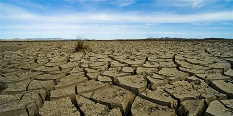 Book Review: Can Science Fix Climate Change? by Mike Hulme | Impact of Social Sciences