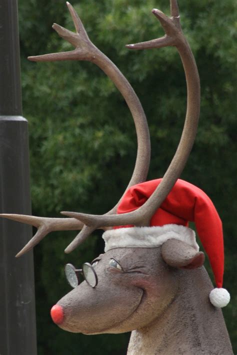 Rudolph the Red-nosed Reindeer | Christmas with Rudolf float… | Flickr