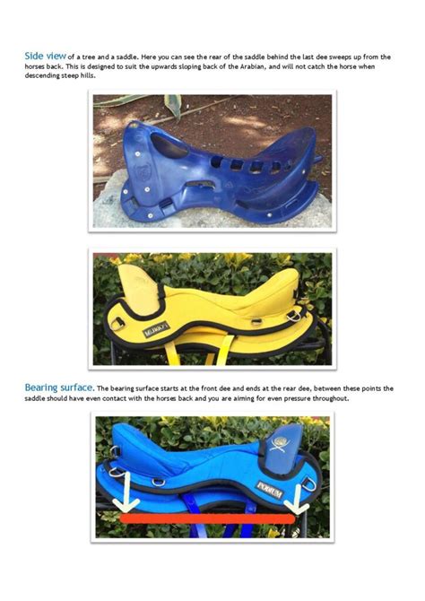 Saddle Fitting Guide - Pioneer Endurance