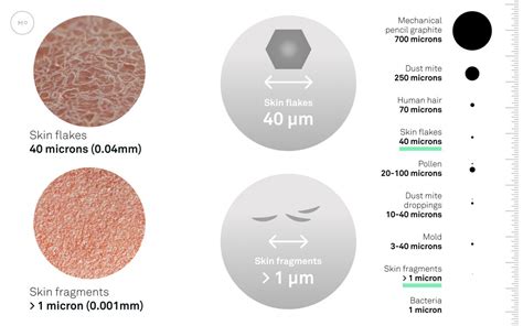 What is Dust Made of? Dust Particle Sizes & Composition - Molekule Blog