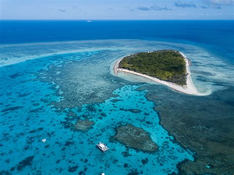 Lady Musgrave Island - Southern Great Barrier Reef, Australia : r/djimavic