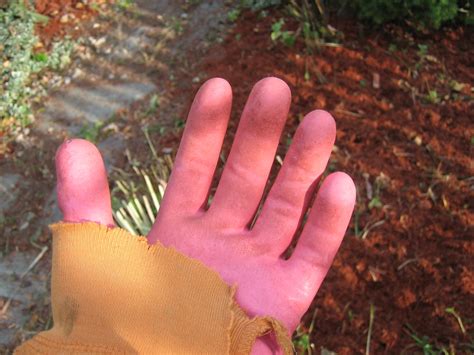 muppet hands! | The reason I will always get gardening glove… | Flickr