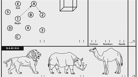 Moca Scoring Guide Clocks : Montreal Cognitive Assessment Moca Version ...