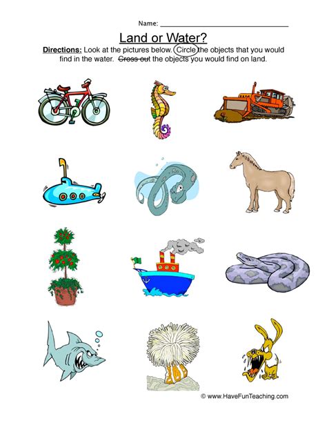 Animals That Live On Land And Water Worksheet