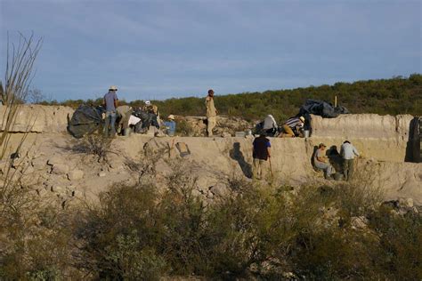 Meet the Gomphothere - Archaeology Wiki