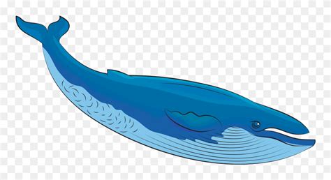 Blue Whale Clipart - Whale Clipart - Png Download (#5212188) - PinClipart