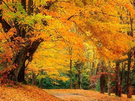 Autumn North Carolina. - Desktop Nexus Wallpapers | Autumn scenes, Fall ...