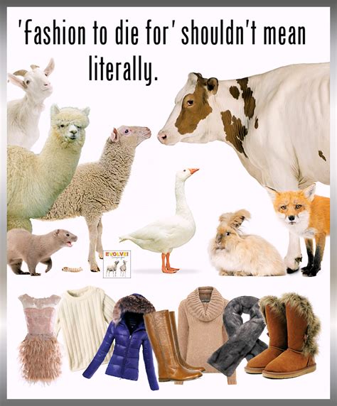 Pin on Cruelty-Free Fashion