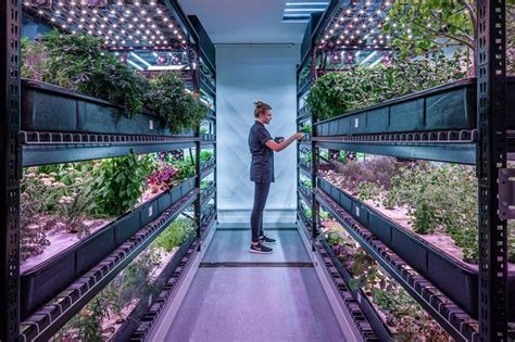 25 Indoor Urban Farming Examples