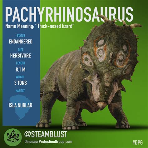 Pachyrhinosaurus | Dinosaur Protection Group Wiki | Fandom