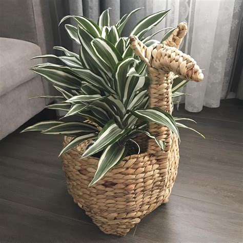 21.8" x 11.4" Decorative Water Hyacinth Llama Basket Natural - Opalhouse™ | Home decor baskets ...