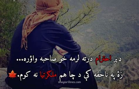 *New* Pashto Love Poetry in Urdu (Pashto Poetry, Status) 2024