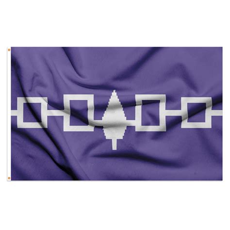 Iroquois Confederacy (Hiawatha Wampum Belt) Polyester Flag – Ace Flag ...