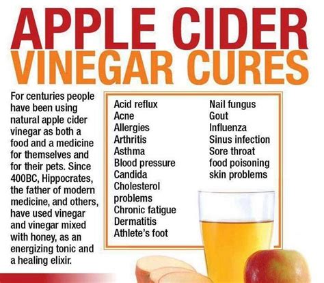 Benefits Of Apple Cider Vinegar And Honey In Warm Water - Apple Poster