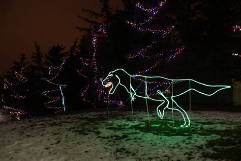 Zoo Lights 2023 in Calgary - Rove.me