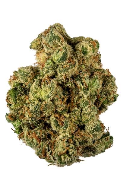 G13 Strain | A Speculative Strain | Flavor Fix