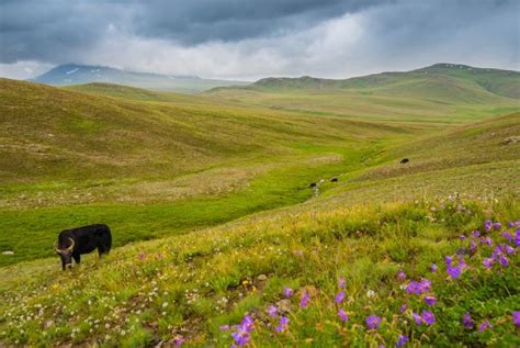 Deosai Plains – Discover Pakistan