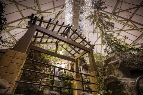 Light at Franklin Park Conservatory in Ohio (2014 Photos)