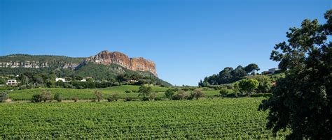 Cassis Wine Region » Provence » Cellar Tours