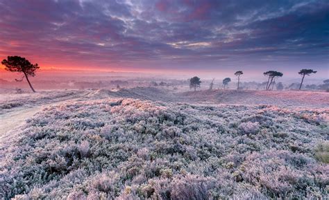 field, frost, grass Wallpaper, HD Nature 4K Wallpapers, Images and ...