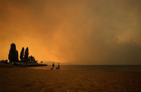 State of emergency declared in B.C. over wildfire crisis