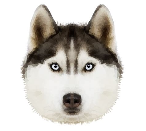 Husky Transparent Image Transparent HQ PNG Download | FreePNGimg