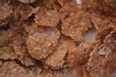 Review: Annie's Organic Frosted Oat Flakes Cereal