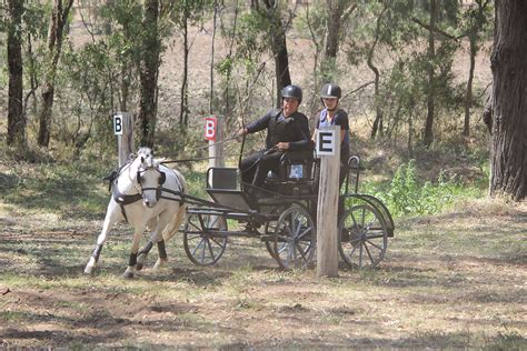 DRIVING DISCIPLINES | range-carriage-club