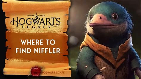 Where to Find Niffler | Hogwarts Cafe