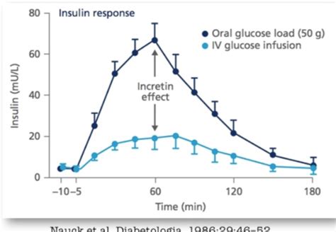 lecture 4: Incretin Hormones Flashcards | Quizlet