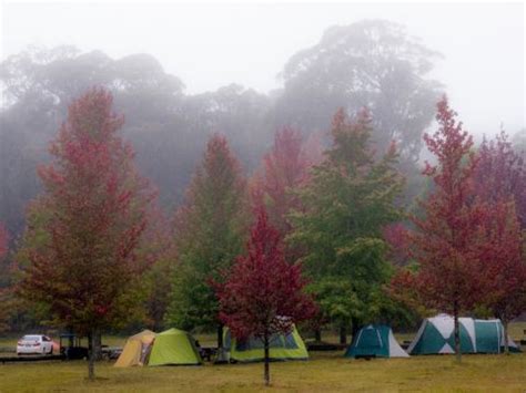 Camping Blue Mountains