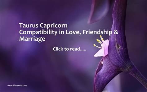 Taurus and Capricorn Compatibility, Love and Relationship - lifeinvedas