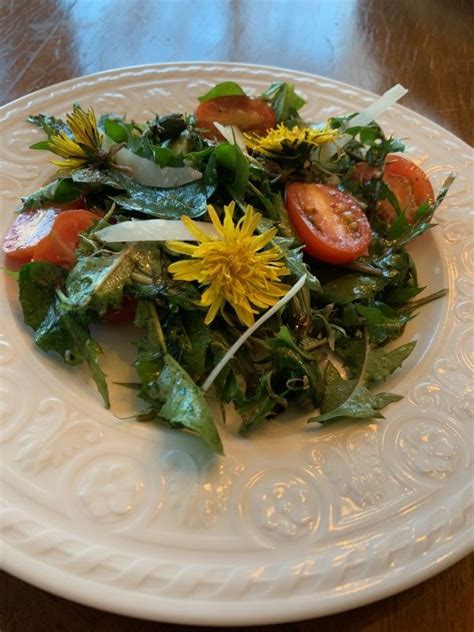 Dandelion Salad | Virtual History Westport