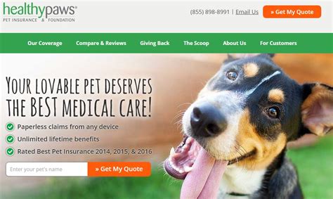 How to find the best pet insurance plan for your clients | PropertyCasualty360