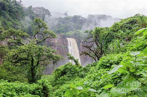 Beautiful hidden Ekom Waterfall deep in the tropical rain forest of Cameroon, Africa Photograph ...