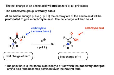 Isoelectric Points of Amino Acids (and How To Calculate Them) – Master ...