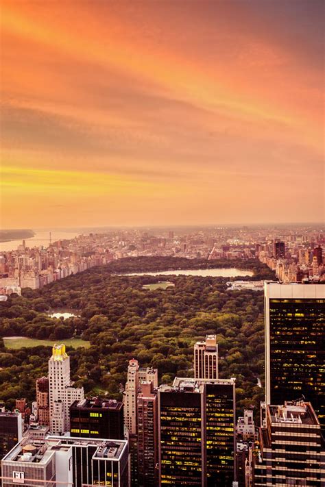 Central Park Sunset by Vivienne Gucwa #nyc | New york city, Nyc ...