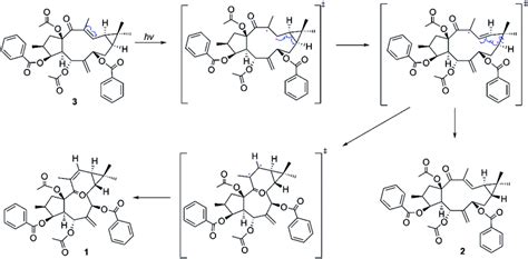 Proposed biosynthetic pathway of compounds 1–2 | Download Scientific ...