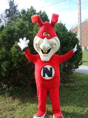 Vintage Domino's Avoid The Noid Ad Mascot Costume 1987 | #251236696