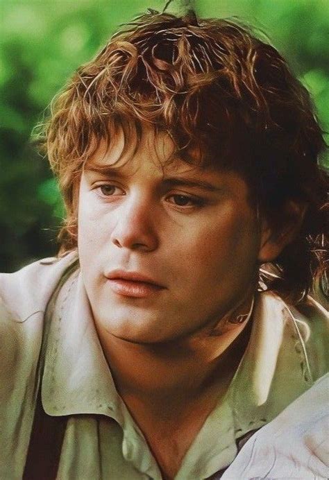 Samwise Gamgee, Lord of the Rings in 2024 | Lord of the rings, Lotr ...