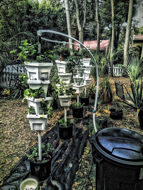 Orlando Urban Yogini | Garden of Vegan: Easy Hydroponics for Backyard Groceries and World Peace ...