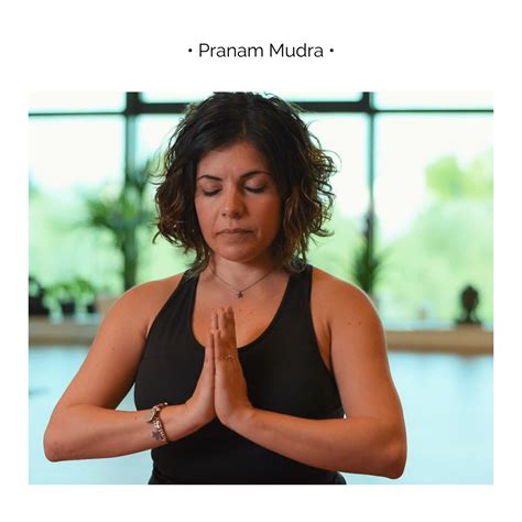 PRANAM MUDRA - MUDRAS - Vive YOGA