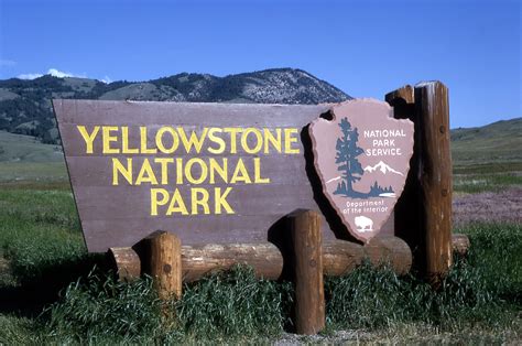 Ability Tools Weekly: Yellowstone National Park's Accessibility Features