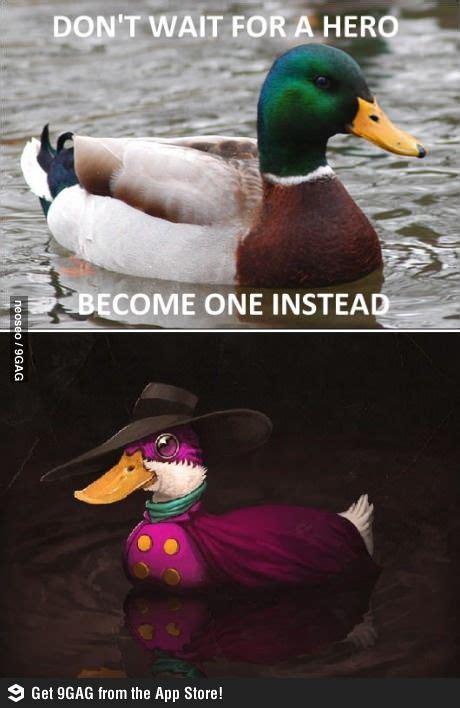 Actual Advice Mallard | Memes, Hilarious, Animals images