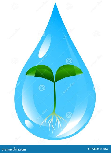 Plant in Water-drop. Vector-Illustration Stock Vector - Illustration of floral, circle: 4752616