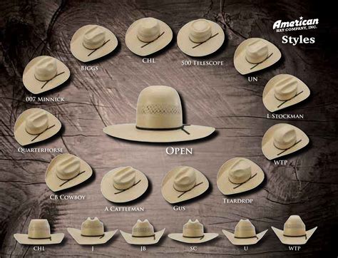 American Hat Company | Cowboy hat styles, Custom cowboy hats, Cowboy hats