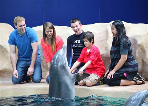 Georgia Aquarium Launches New Interactive Dolphin Encounter | Georgia Aquarium