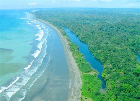 Hiking Corcovado National Park Day Tour | Caribe Fun Tours