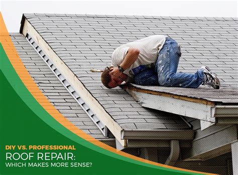 DIY vs. Professional Roof Repair: Which Makes More Sense?