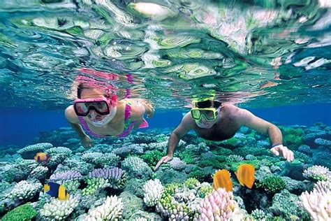 Paradise for Snorkeling Activities & Diving in Phu Quoc Island, Vietnam